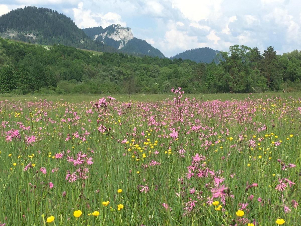 Penzion Roal Pieniny Spisska Stara Ves Exteriér fotografie