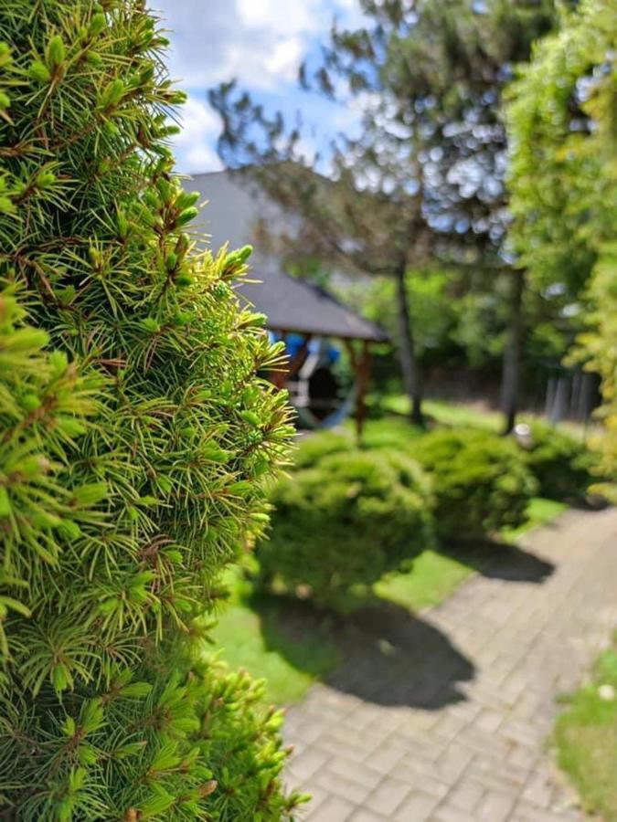 Hotel Penzion Roal Pieniny Spisska Stara Ves Exteriér fotografie