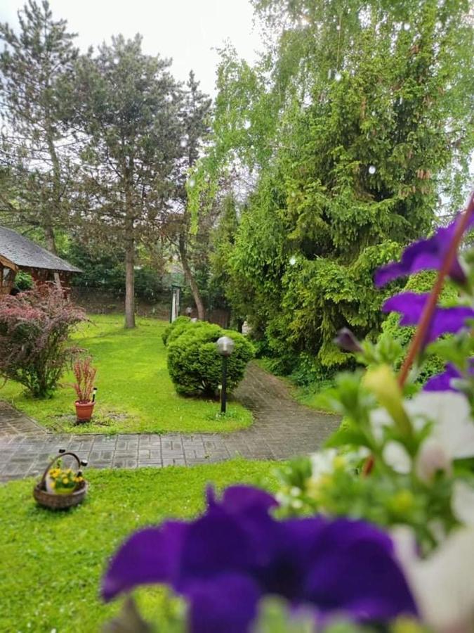 Hotel Penzion Roal Pieniny Spisska Stara Ves Exteriér fotografie