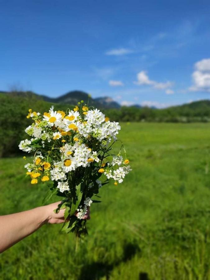 Penzion Roal Pieniny Spisska Stara Ves Exteriér fotografie