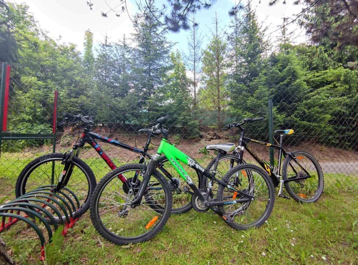 Hotel Penzion Roal Pieniny Spisska Stara Ves Exteriér fotografie