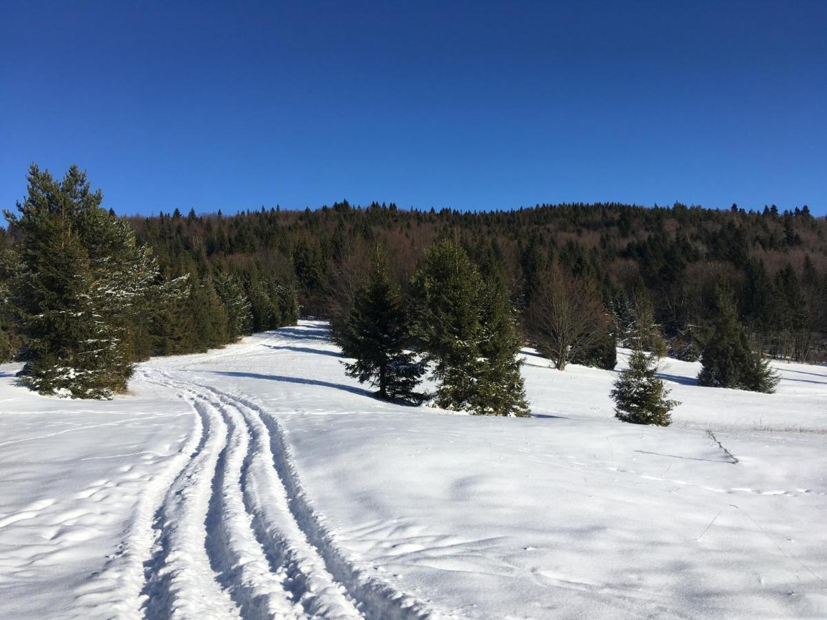 Penzion Roal Pieniny Spisska Stara Ves Exteriér fotografie