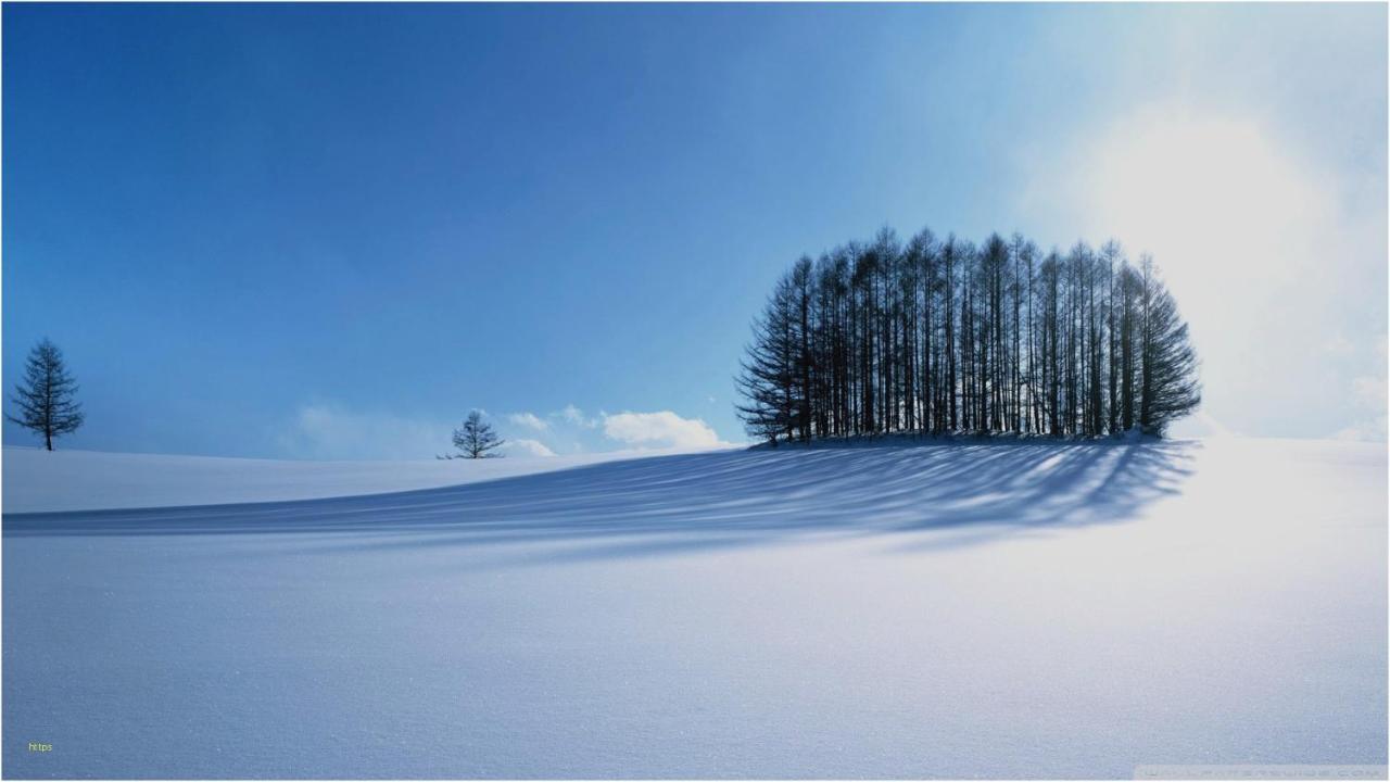 Penzion Roal Pieniny Spisska Stara Ves Exteriér fotografie