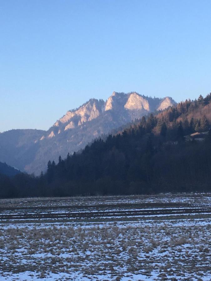 Hotel Penzion Roal Pieniny Spisska Stara Ves Exteriér fotografie