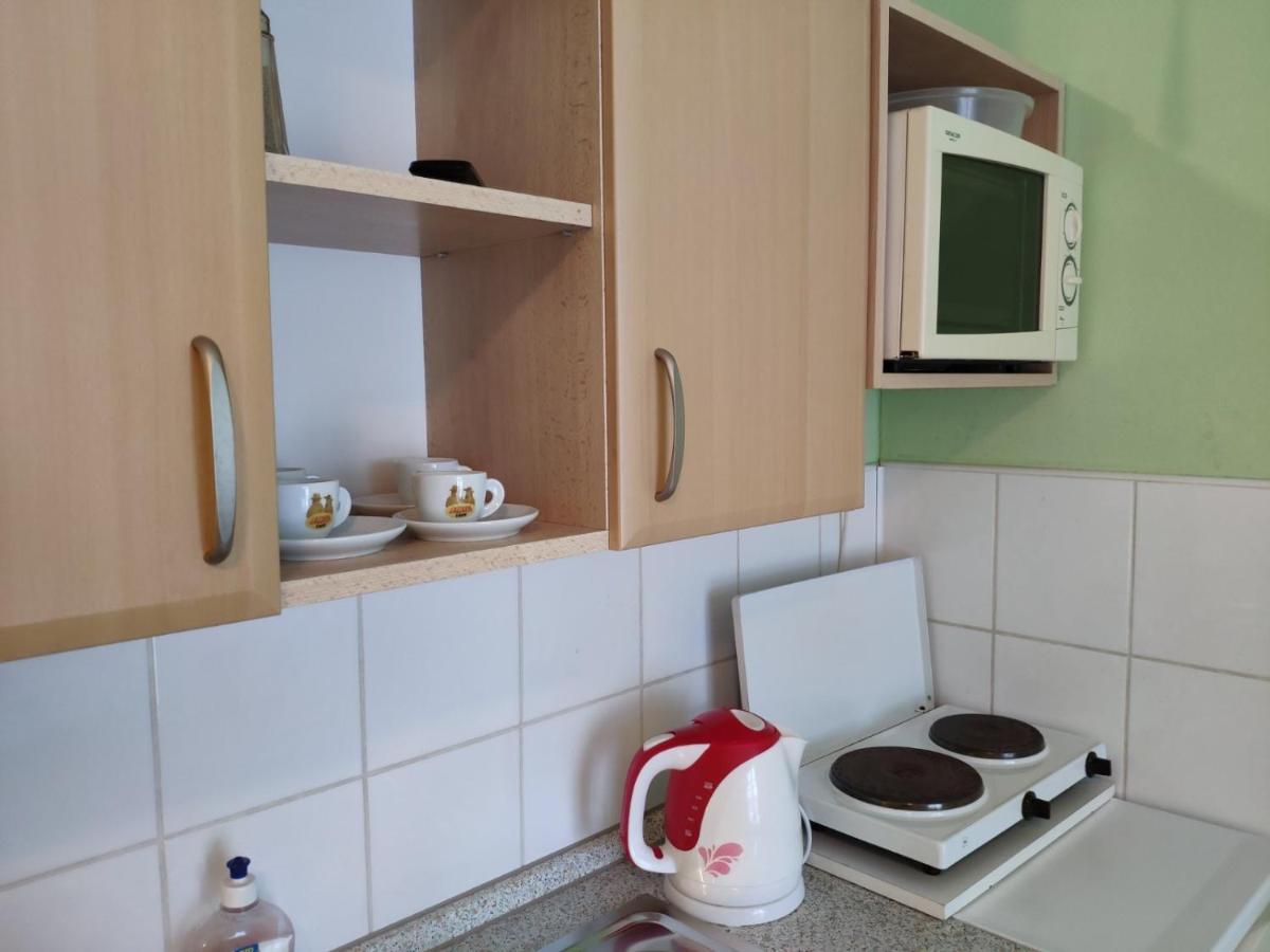 Hotel Penzion Roal Pieniny Spisska Stara Ves Exteriér fotografie