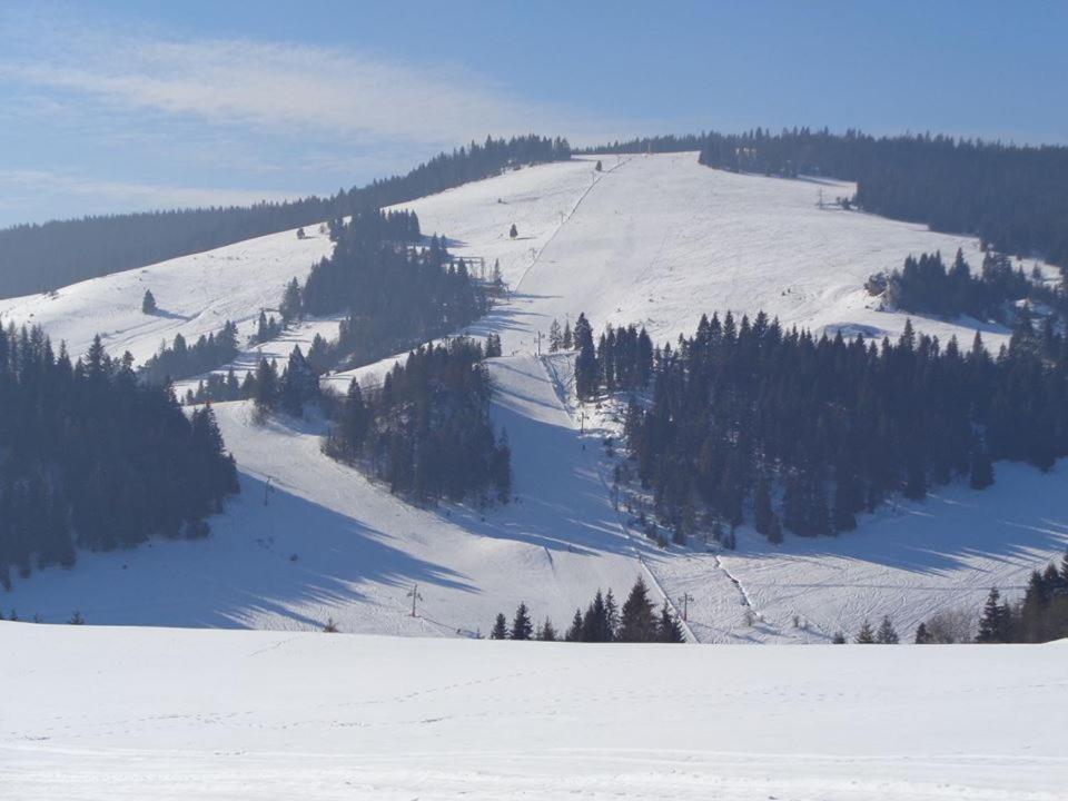 Penzion Roal Pieniny Spisska Stara Ves Exteriér fotografie