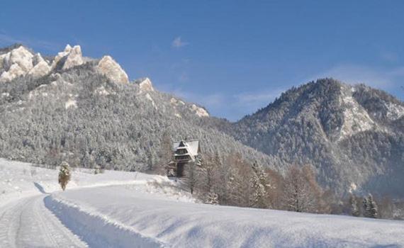 Penzion Roal Pieniny Spisska Stara Ves Exteriér fotografie