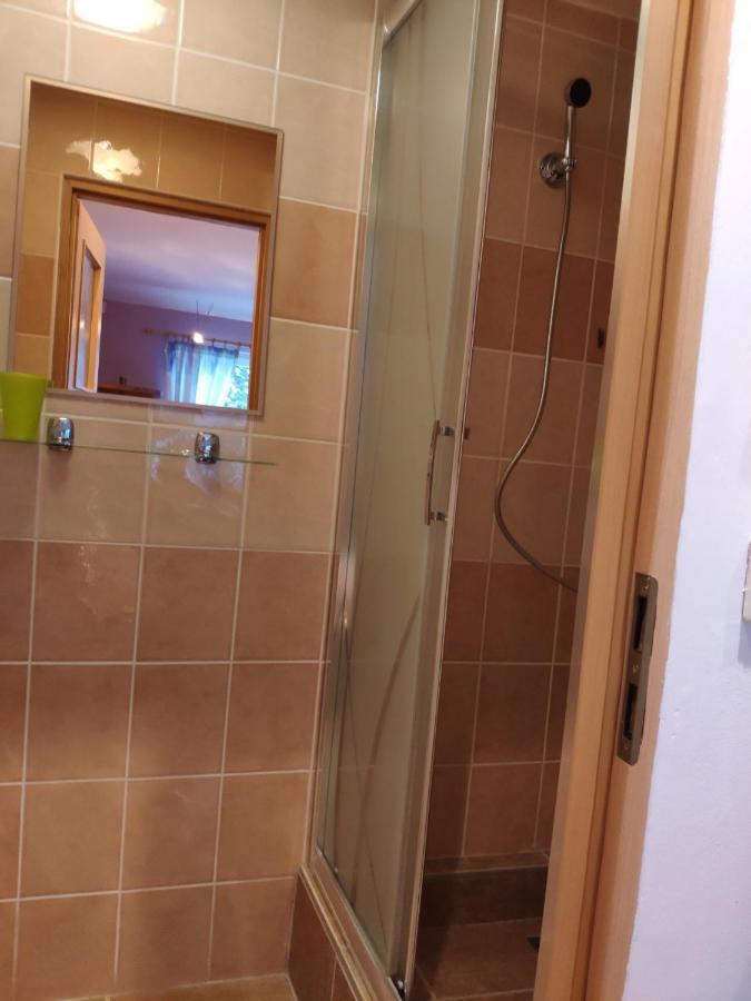 Hotel Penzion Roal Pieniny Spisska Stara Ves Exteriér fotografie