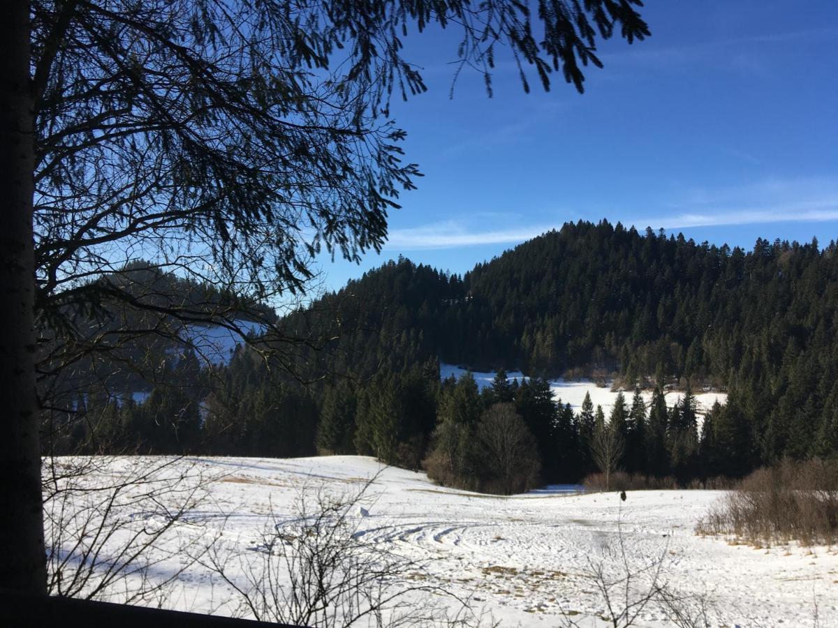 Penzion Roal Pieniny Spisska Stara Ves Exteriér fotografie