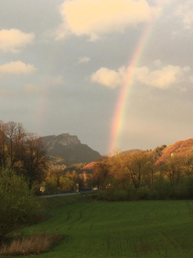 Penzion Roal Pieniny Spisska Stara Ves Exteriér fotografie