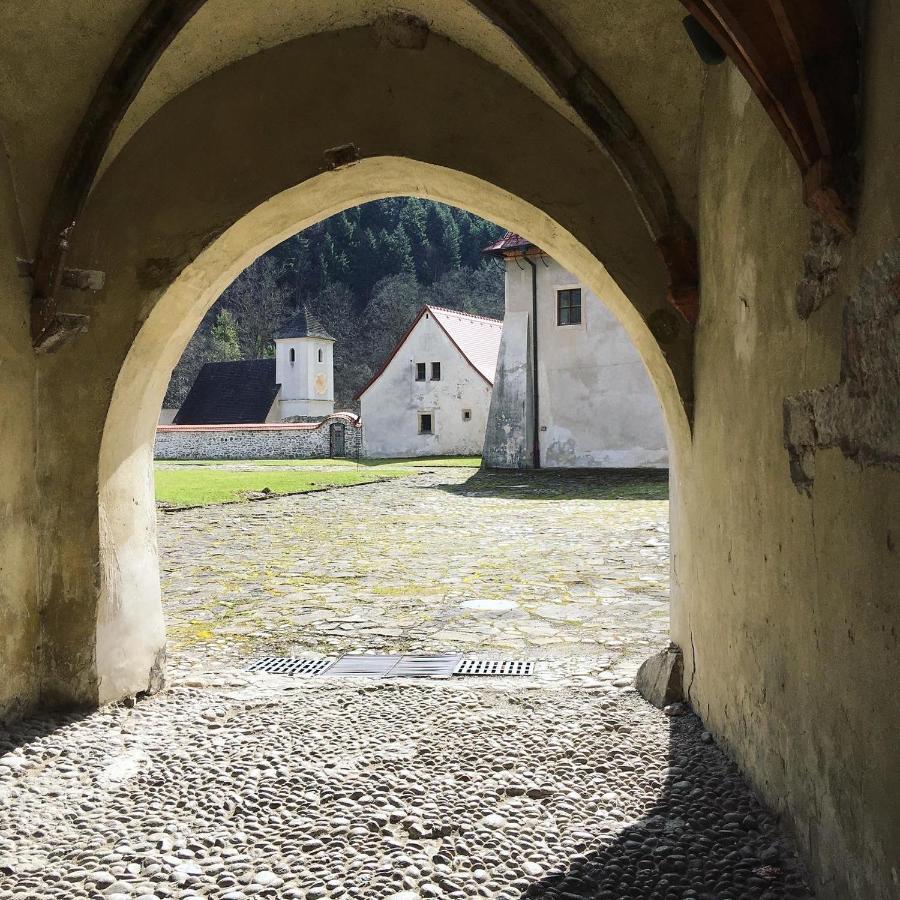 Penzion Roal Pieniny Spisska Stara Ves Exteriér fotografie