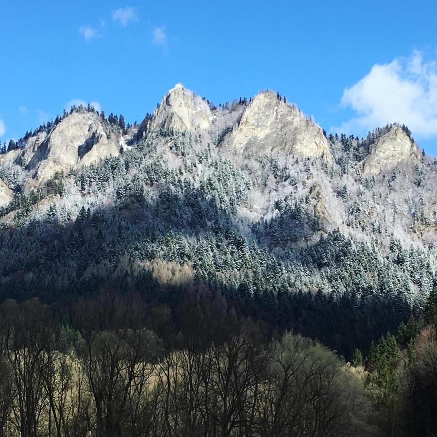 Penzion Roal Pieniny Spisska Stara Ves Exteriér fotografie