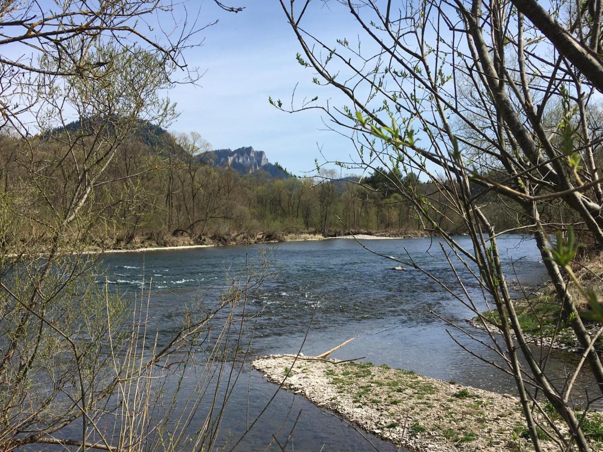 Penzion Roal Pieniny Spisska Stara Ves Exteriér fotografie